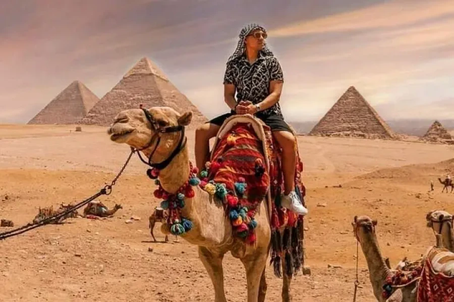 Explore Camel Ride in your cairo day tour