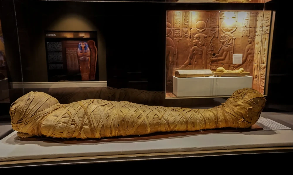 Tour ao Museu de Luxor e Museu da Mumificação