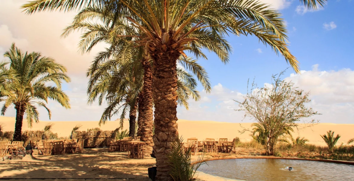 Enjoy a breathtaking sunset over Siwa Oasis during your Egypt tour