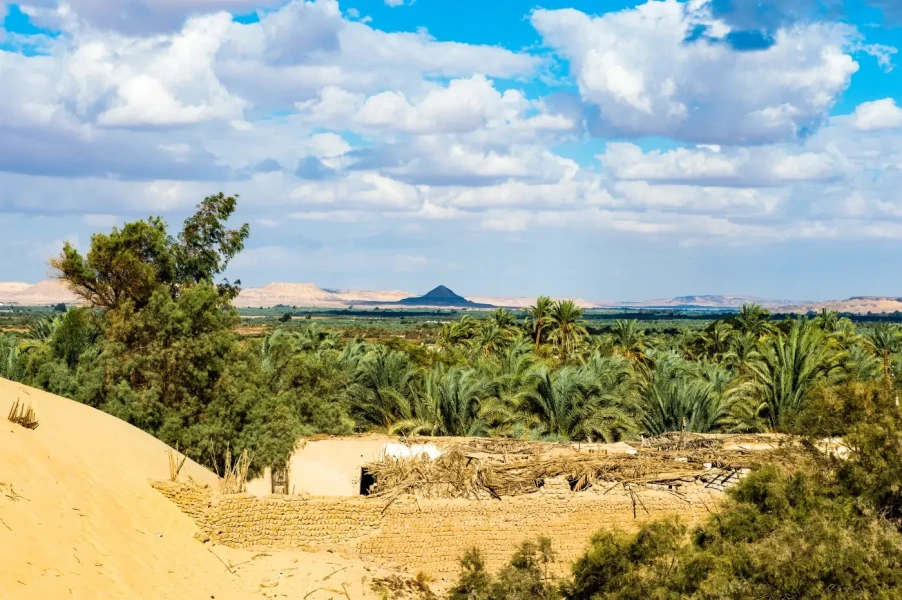 Tour de Dois Dias para os Oásis de Bahariya e o Deserto Branco a partir do Cairo