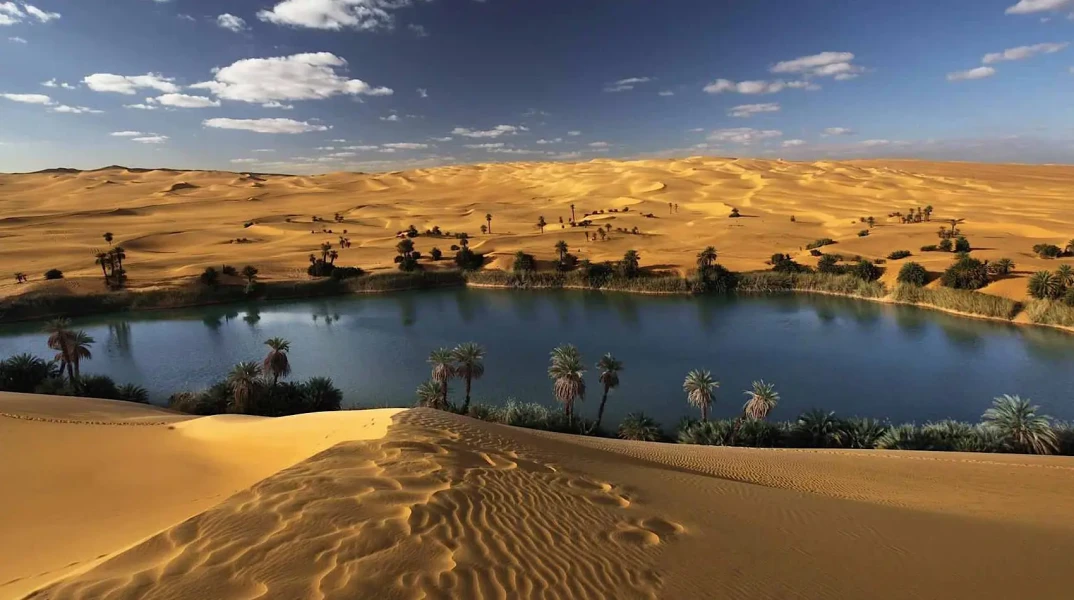 Bahariya Oasis lake surrounded by palm trees and desert.