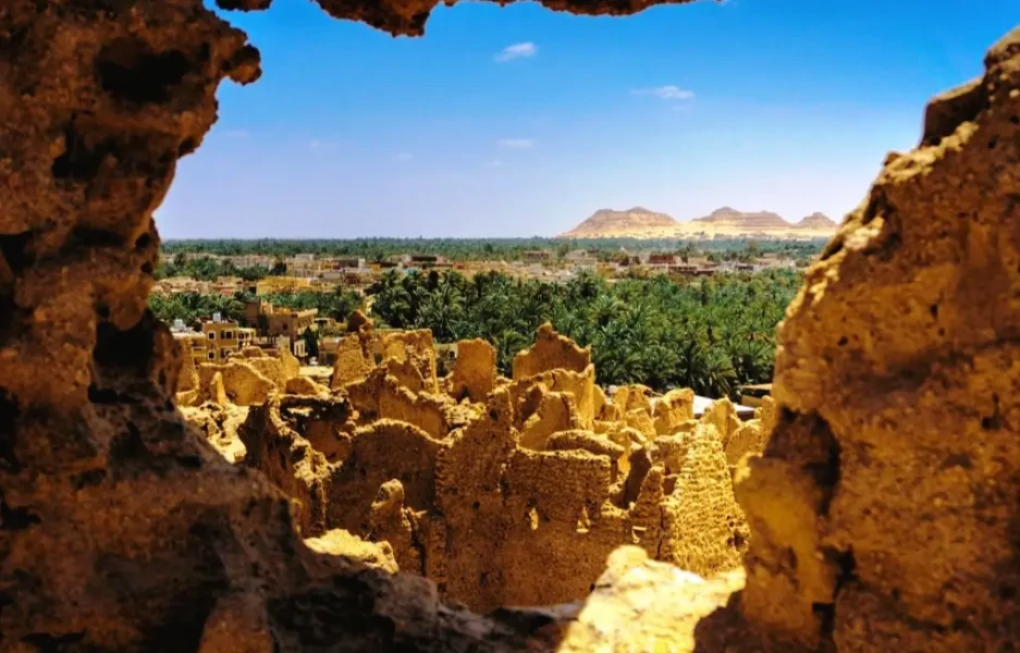Bahariya Oasis with palm trees and desert dunes.
