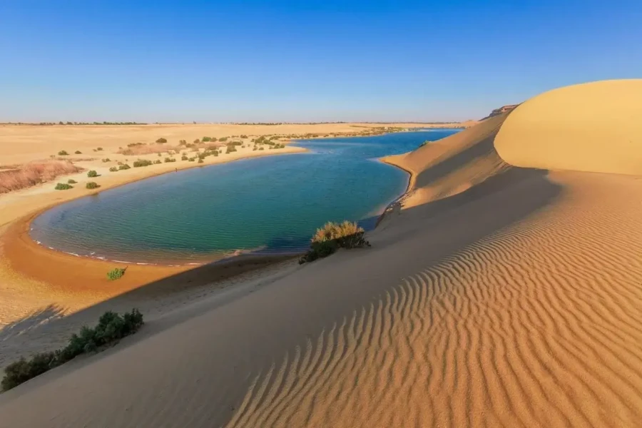 Magic Lake in Fayoum surrounded by golden desert dunes