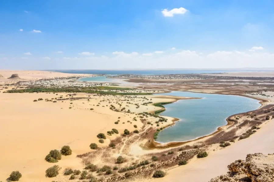 Voyage vers El Fayoum et Wadi El Rayan depuis Le Caire