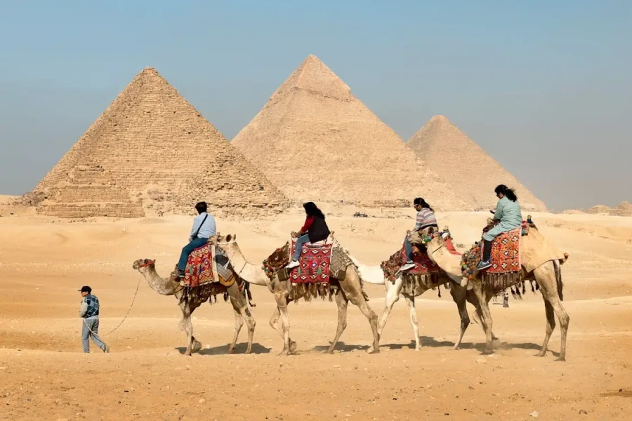 Camel safari near the Great Pyramids of Giza