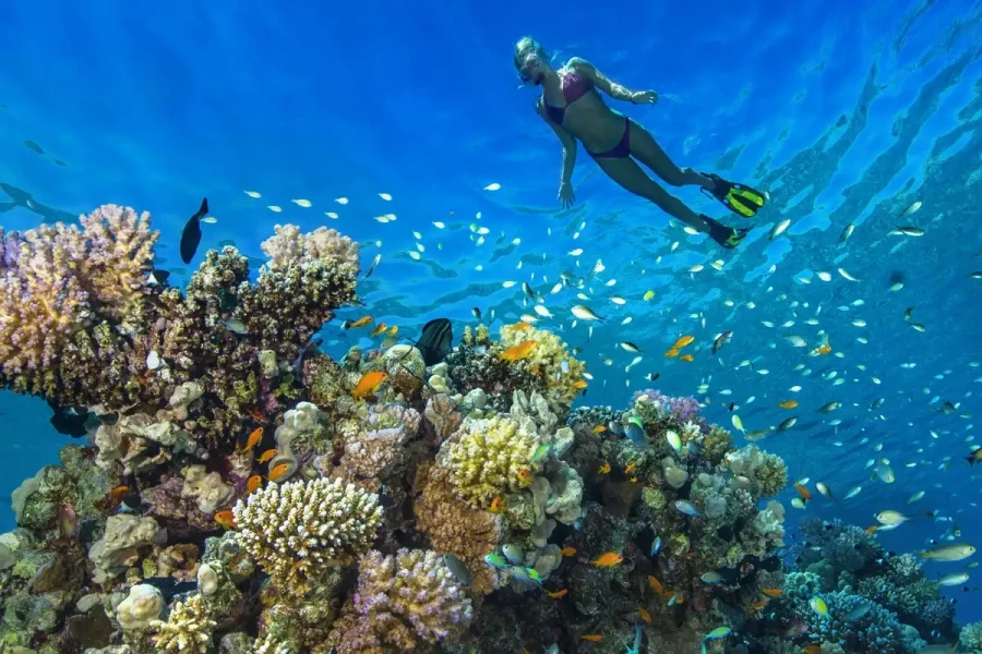 Snorkeling underwater adventure