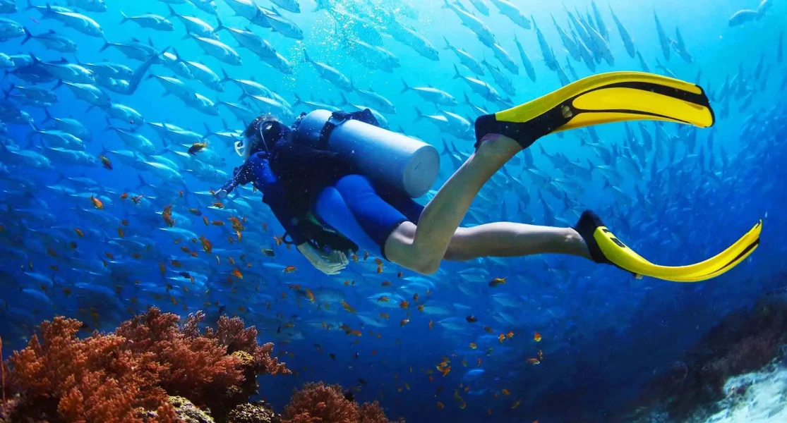 Coral reef snorkeling