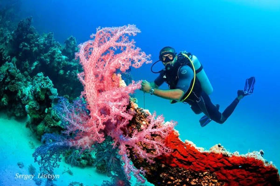 Best Diving Sites in Hurghada