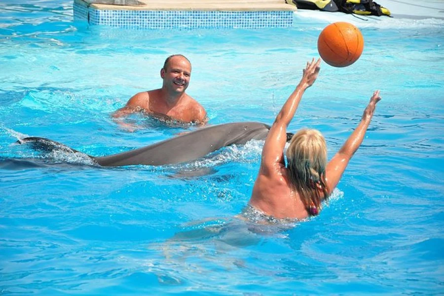 Spectacle de Dauphins à Hurghada