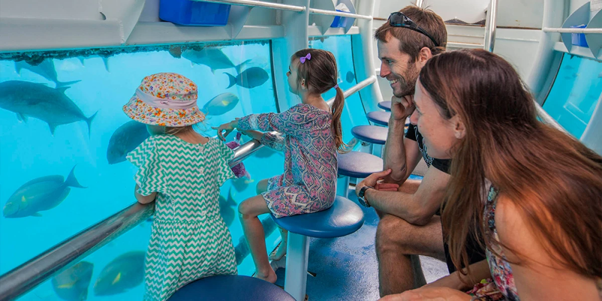 Tour in semi-sottomarino per un'escursione nel Mar Rosso