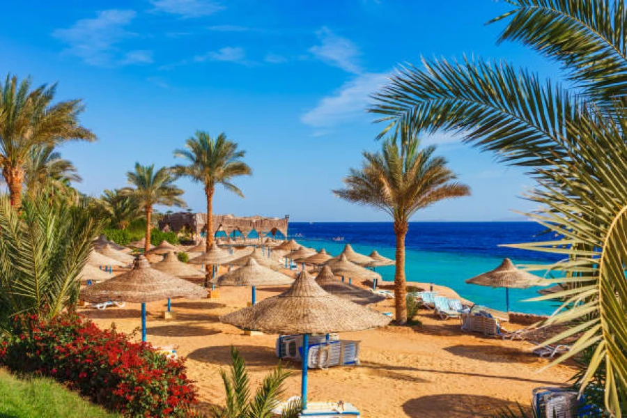 Things to do in Sharm El Sheikh