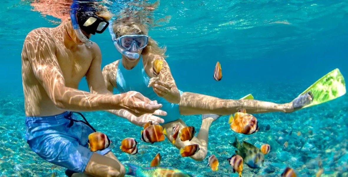 Mergulho com snorkel em um passeio de iate de 6 dias para a Ilha Orange Bay