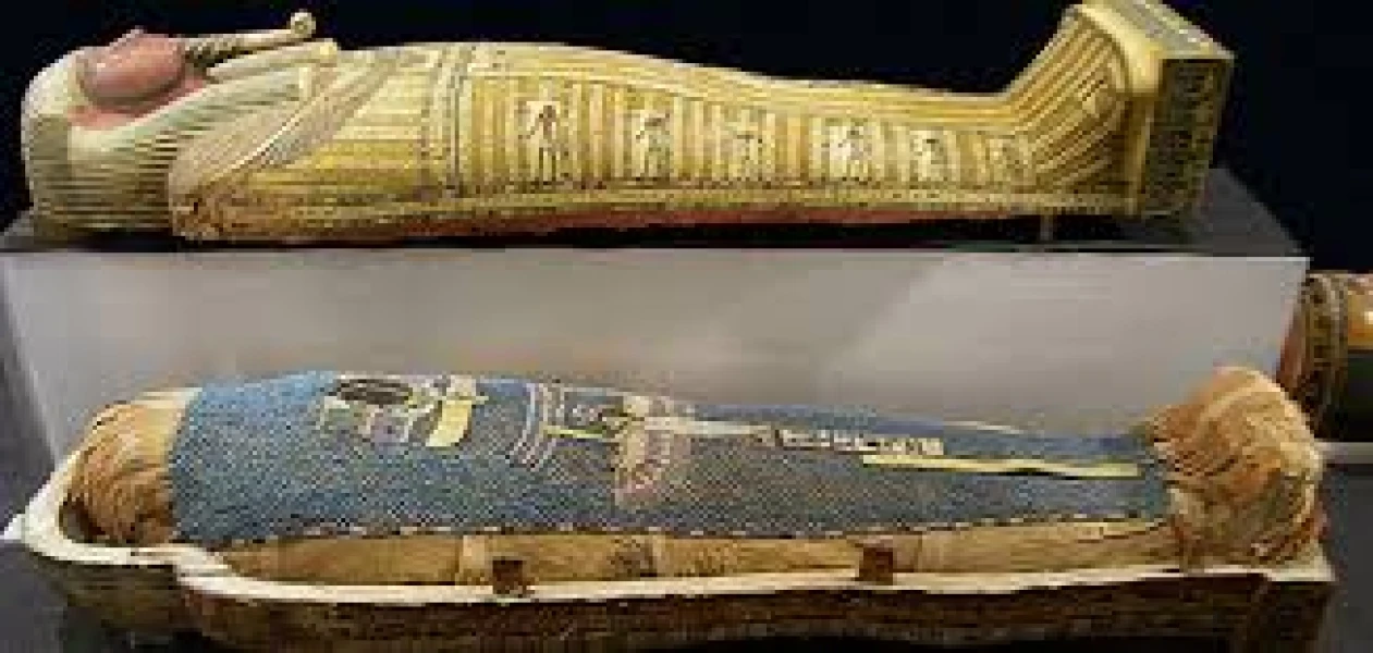 Musée de la Momification