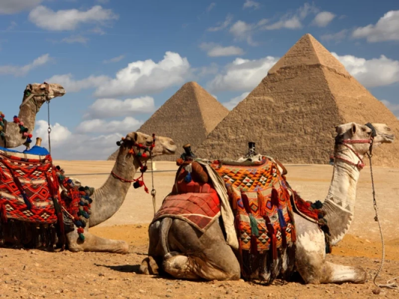 Camel Ride in Giza