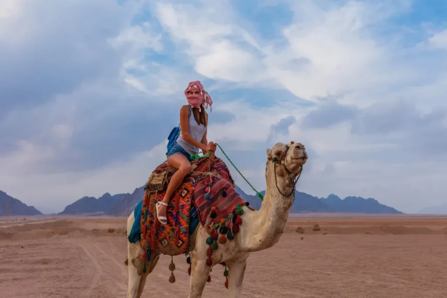 Passeio de Camelo no Sinai