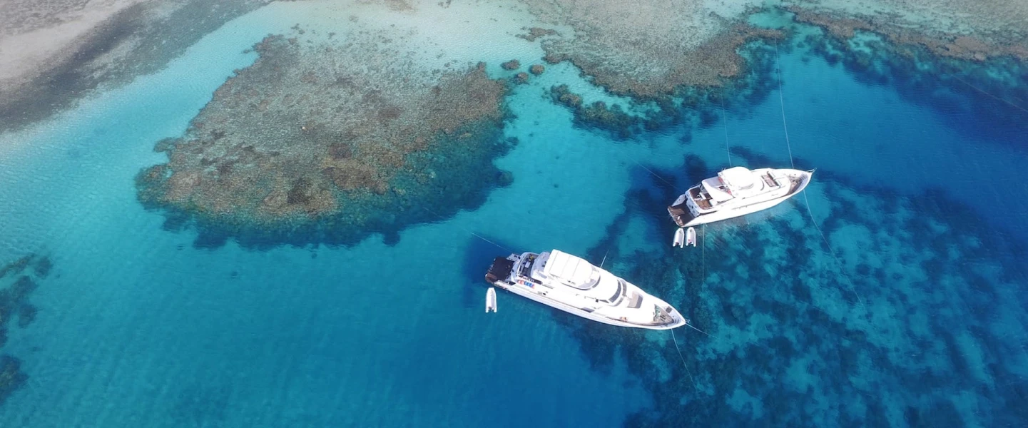 Snorkeling Trip in Sharm El Sheikh