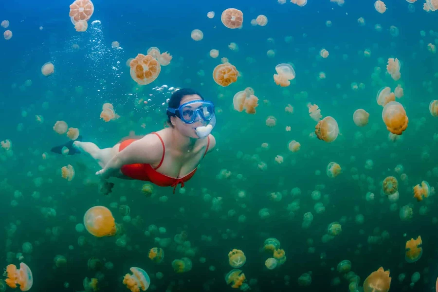 Snorkeling