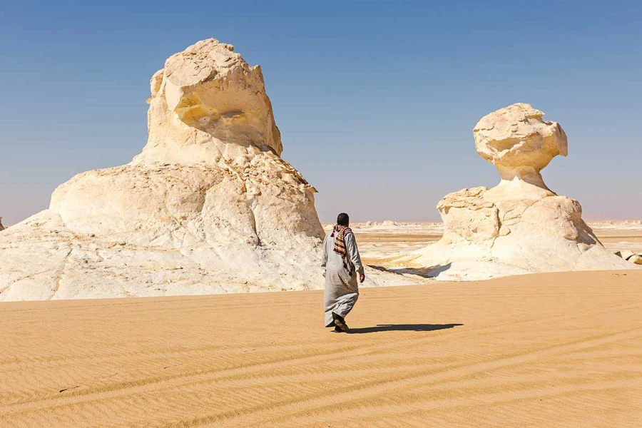 White Desert