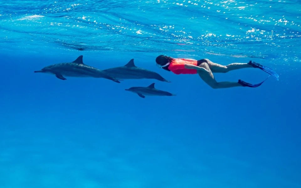 Porto Ain Sokhna Snorkeling