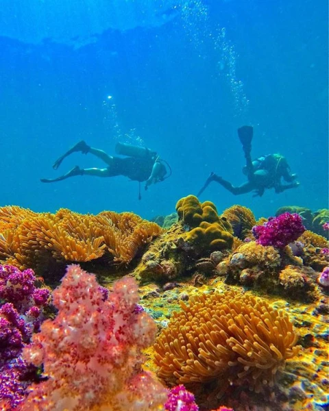 Snorkeling