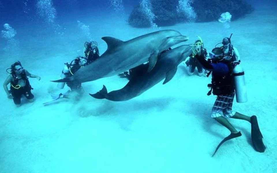 Mergulho em Hurghada