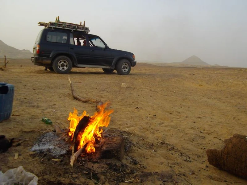 Bahariya-Oasis