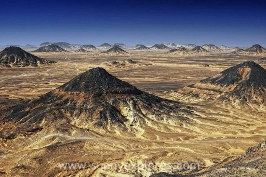 Black Desert
