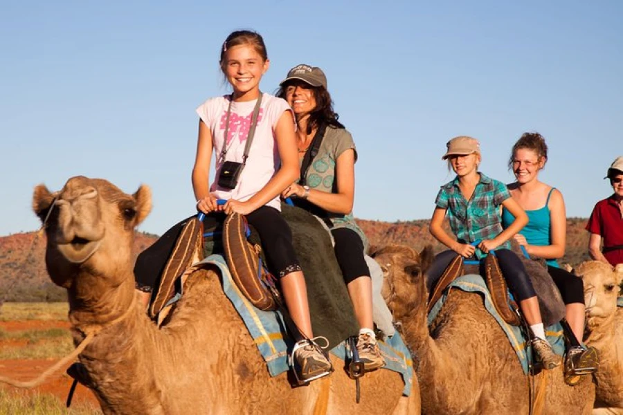 Camel ride in luxor